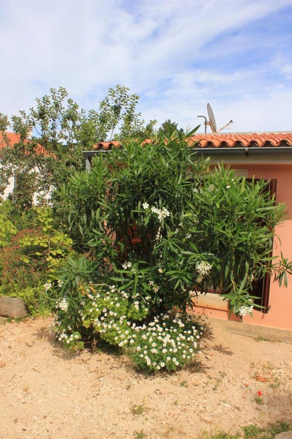 Apartments With A Parking Space Veli Losinj, Losinj - 8029 Exterior foto